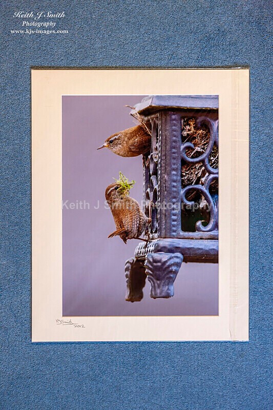 0SKJ9340 - Mounted prints for sale.