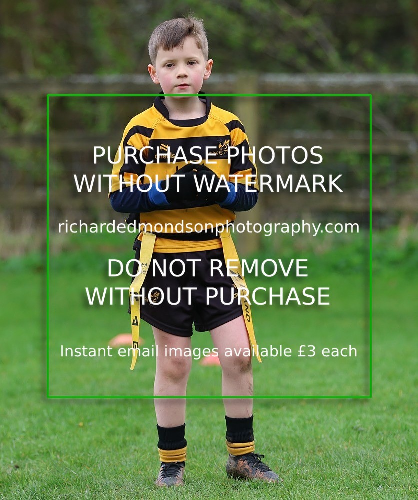 533A5471 - Kendal Rugby Under 7's (12/4/26)