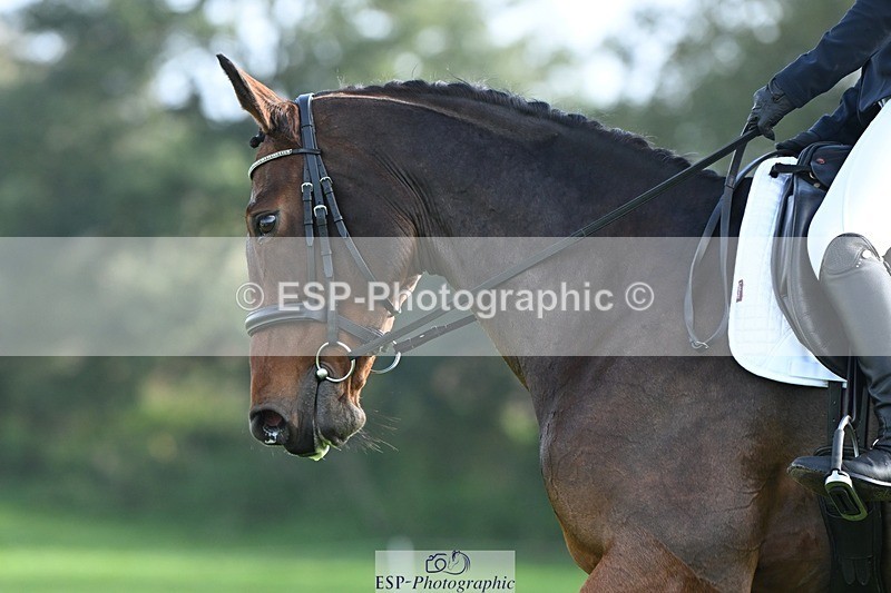 231020-095724-05815 - 466-SPARHANGER.VELVET-Tichy.Sanders-DR