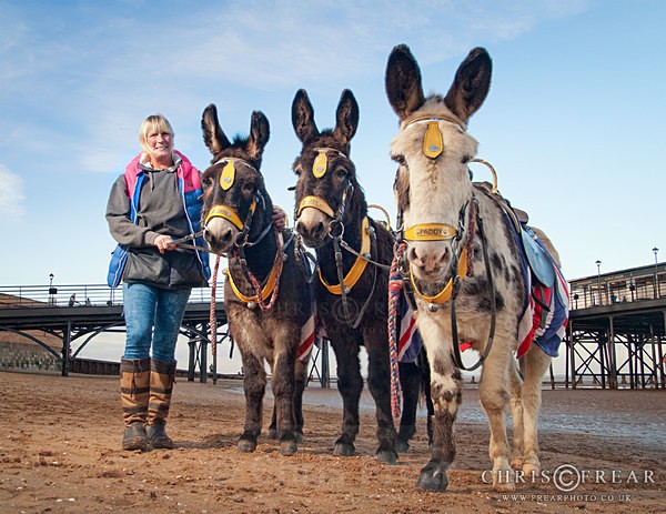 Sonia & Friends - Cleethorpes Life