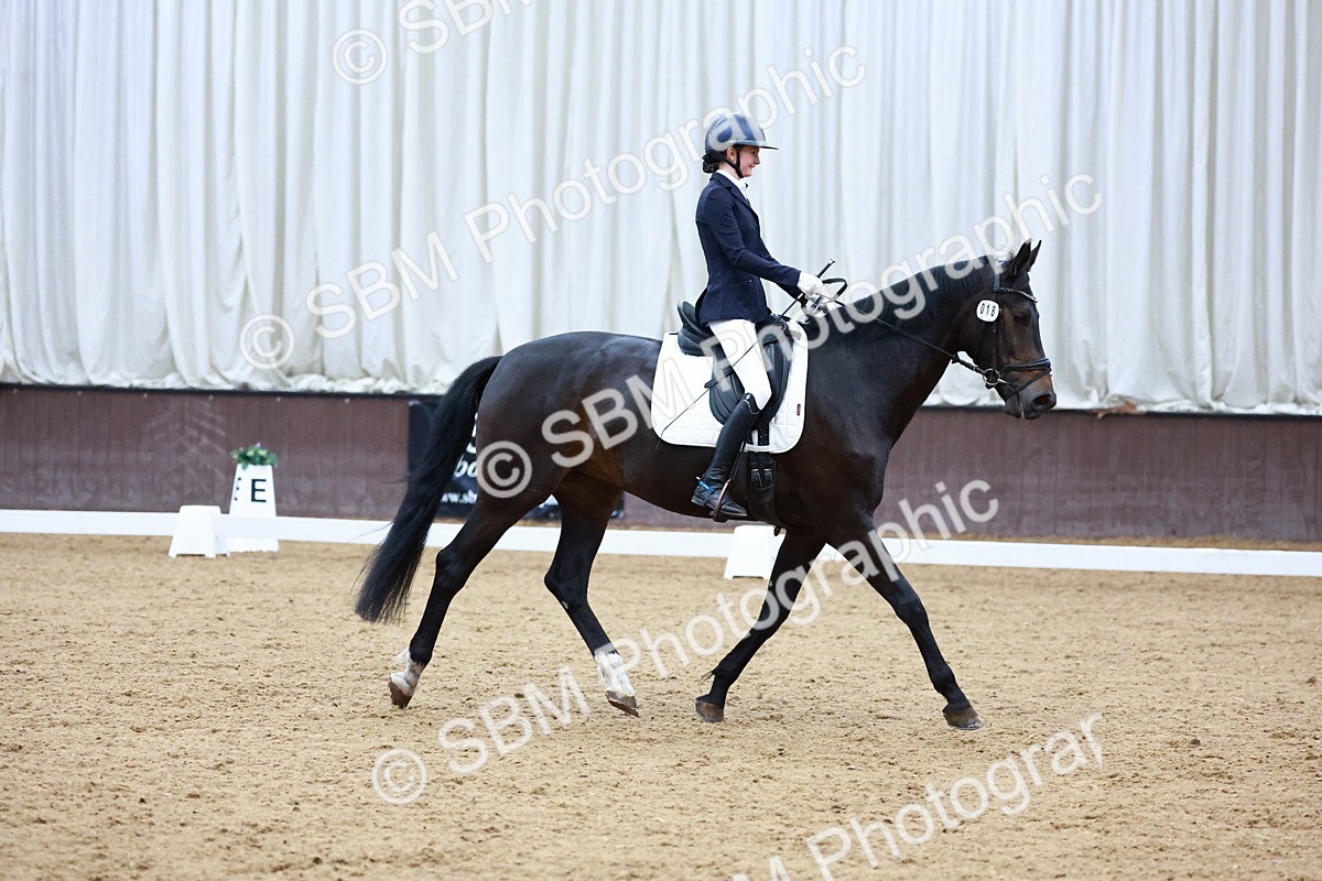 0B8A8023 - Class 5 - Novice 2