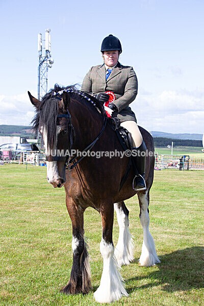 DSC_0255 - Ring 1