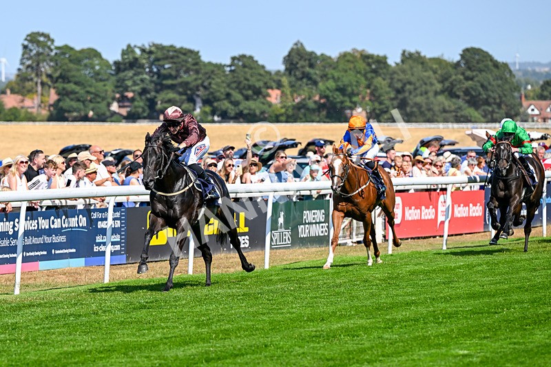 130826-Race 2-Concert Pitch-8346 - Race 2 14.45pm Welcome Racing TV Club Members Nursery Handicap