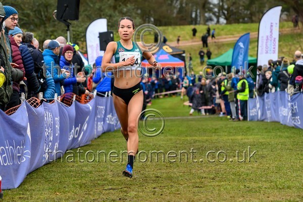 Falkirk26-913582 - Senior Women Set Two