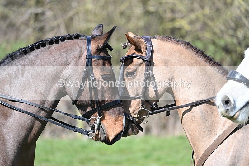 WJ7_6229 - Meet