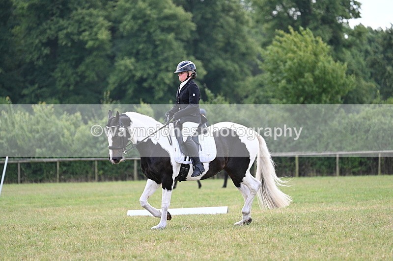 WJ7_5319 - Time 11:22 to 11:51