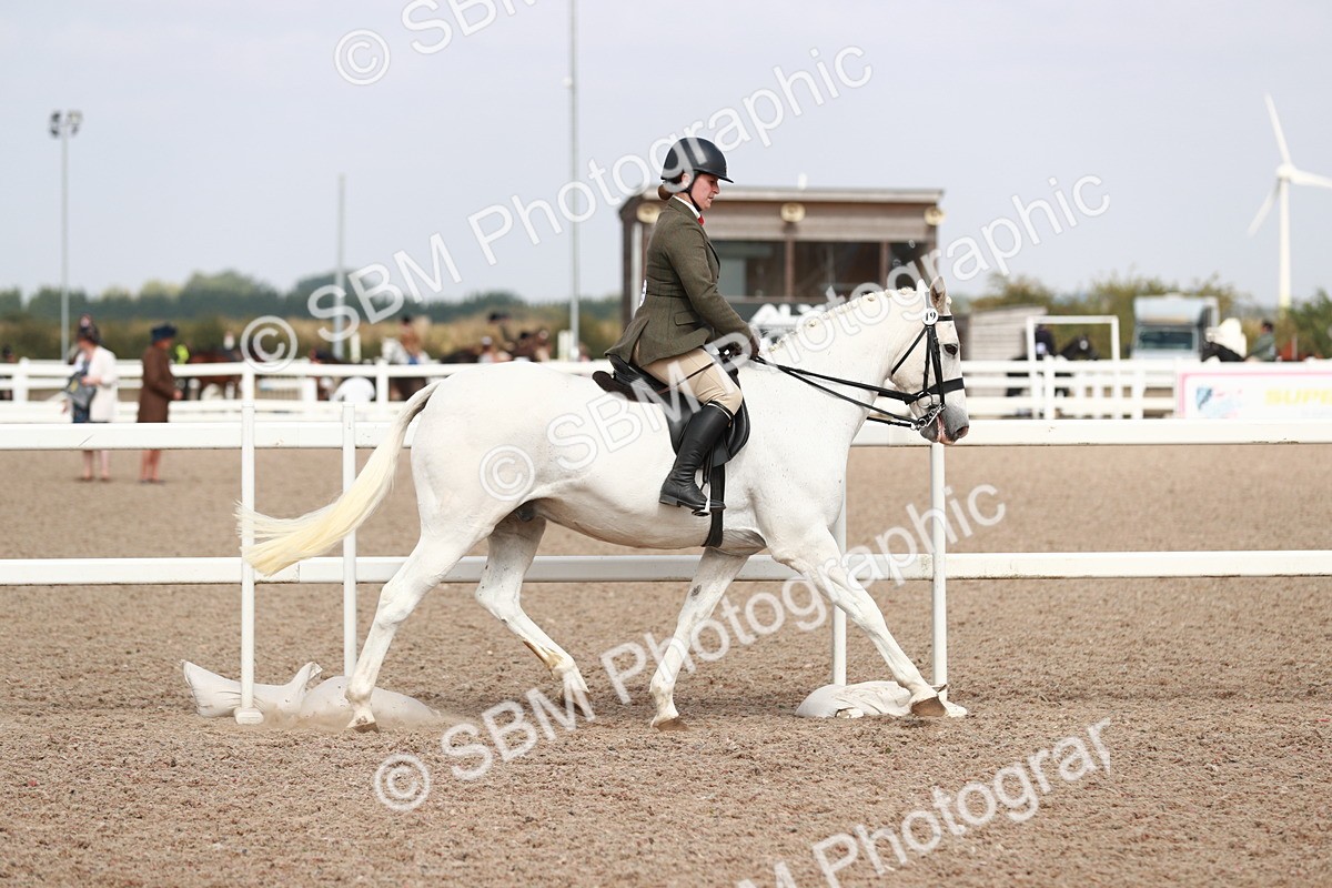 SBM_14813 - Class 212 Ridden Hunter - Small