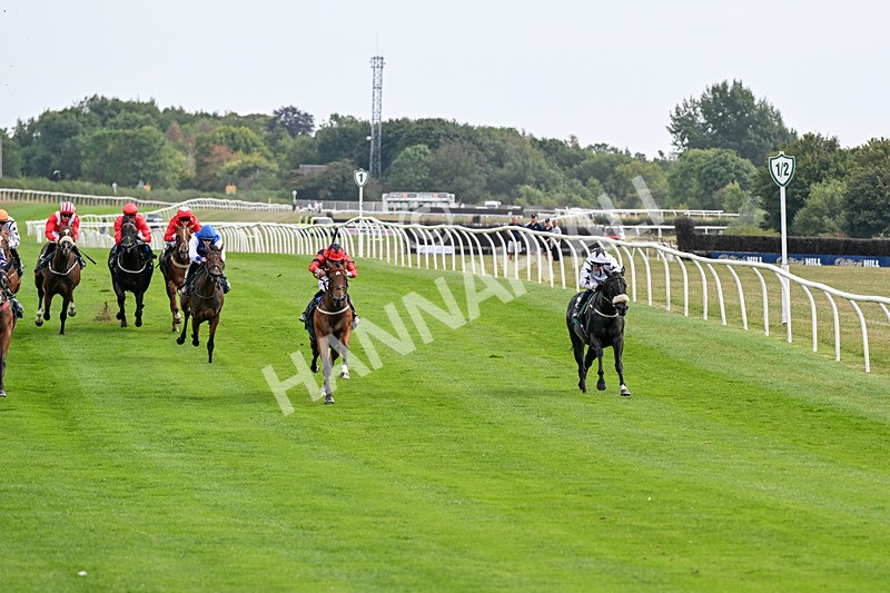 260826-Race 1-Mugheer-2100 - Race 1 14:15 Yorkshire Dales Distillery / EBF Restricted Maiden Stakes