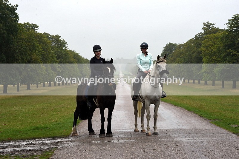 TT3_8371 - Time at Crossing 10:16 to 11:38