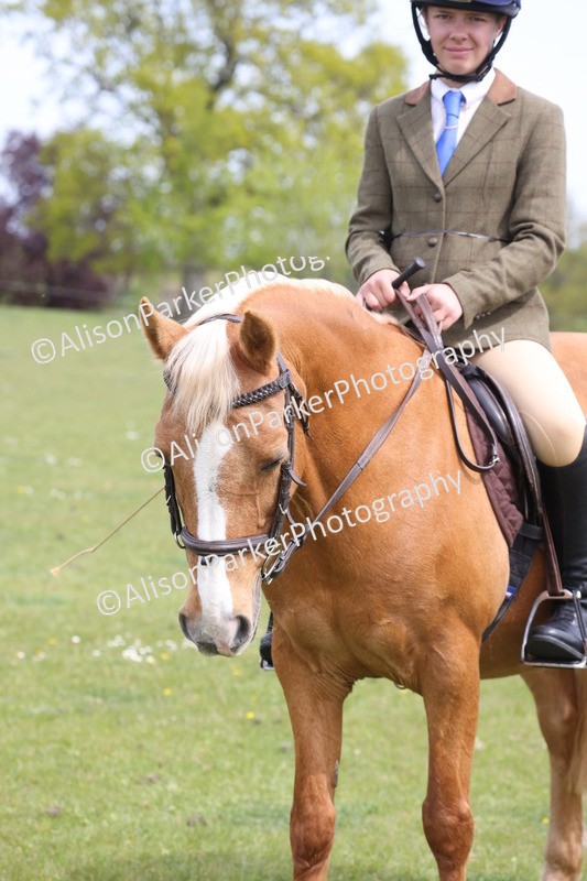 20260426-3037 - Class 33 - Best Pony 14.2hh and Under
