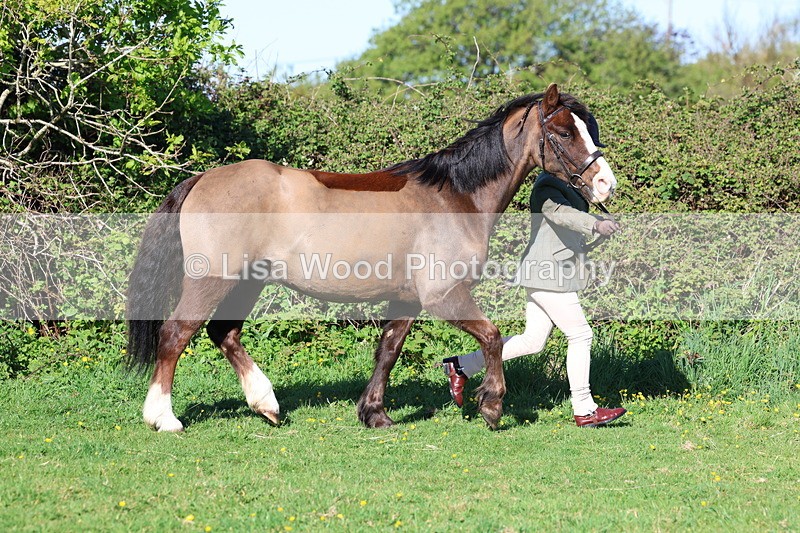 3E7A8331 - Class 12: M & M Small Breeds