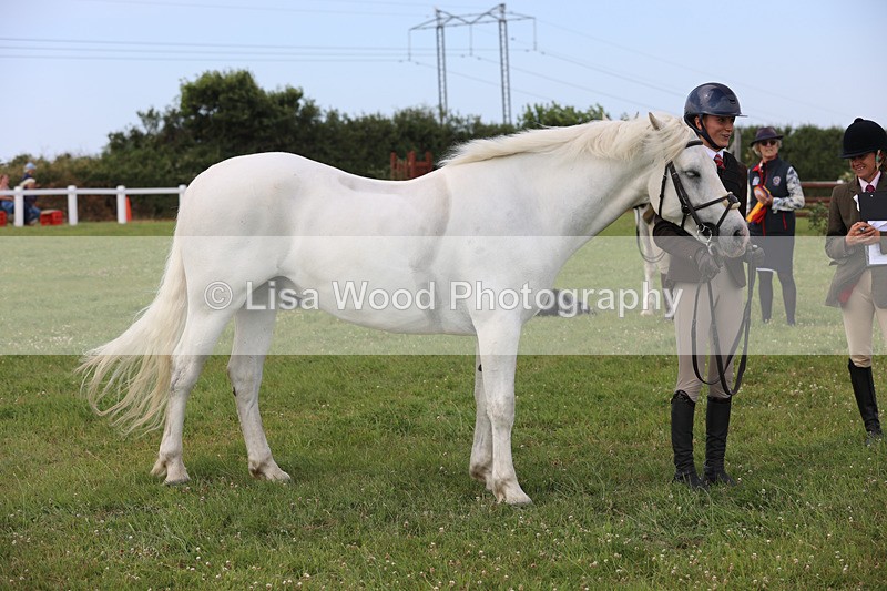 JPP_3919 - Class 23: Working Hunter 80cm