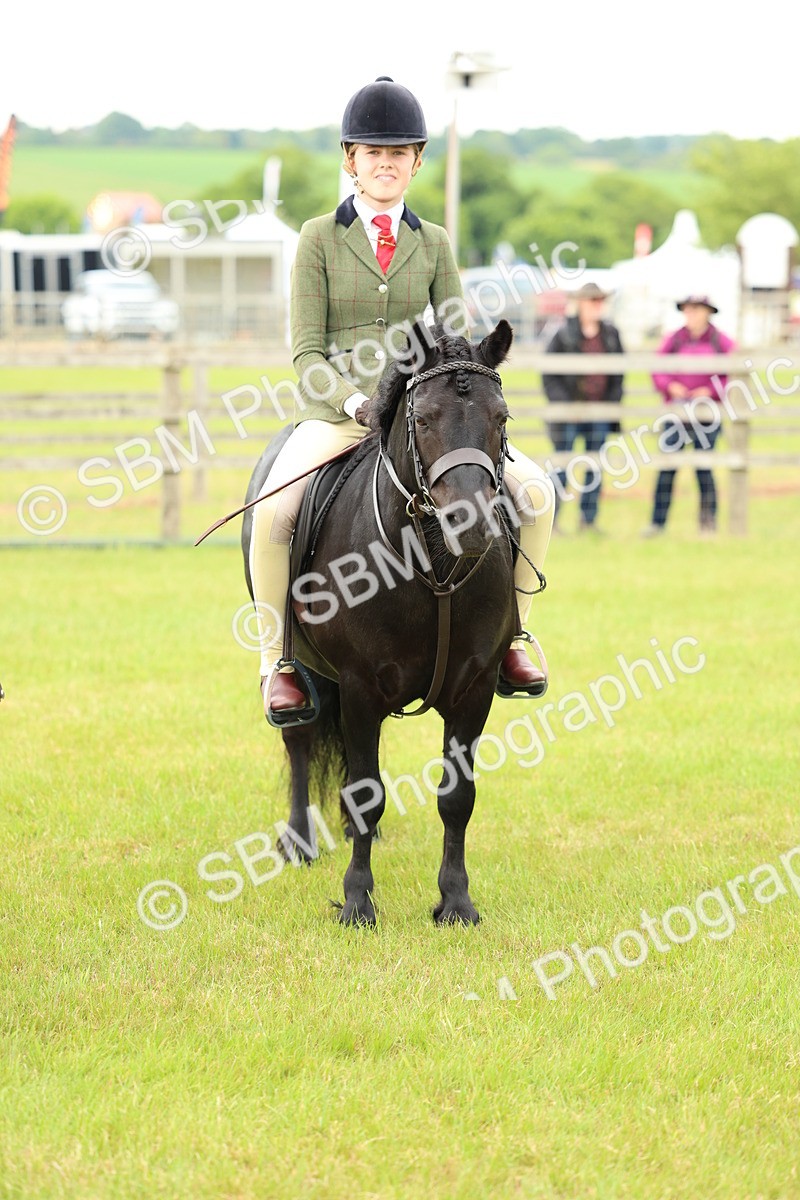 SBM_10394 - Class 44-45 - LIHS BSPS Open Nursery and Cradle Stakes