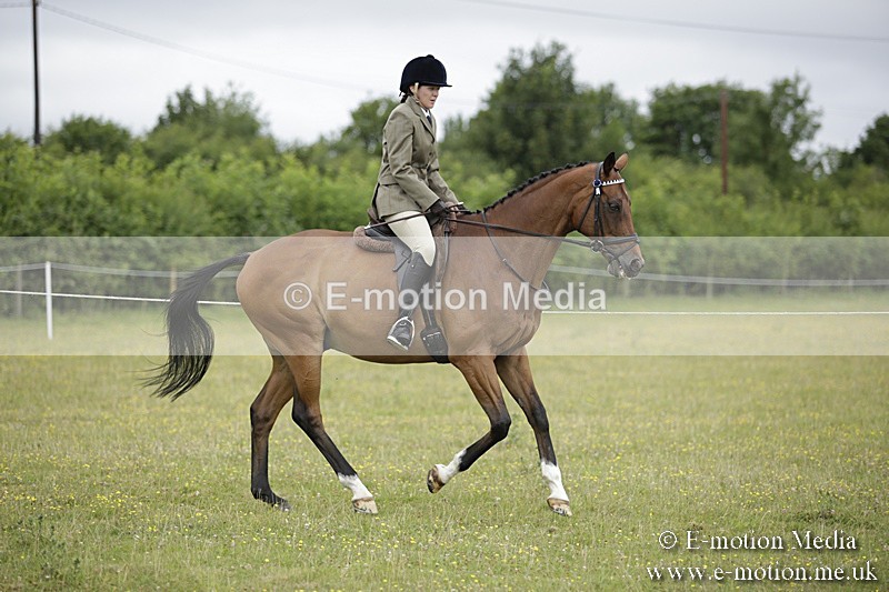 BVR160717-447 - Ring 1 BVRC Show 16/07/17