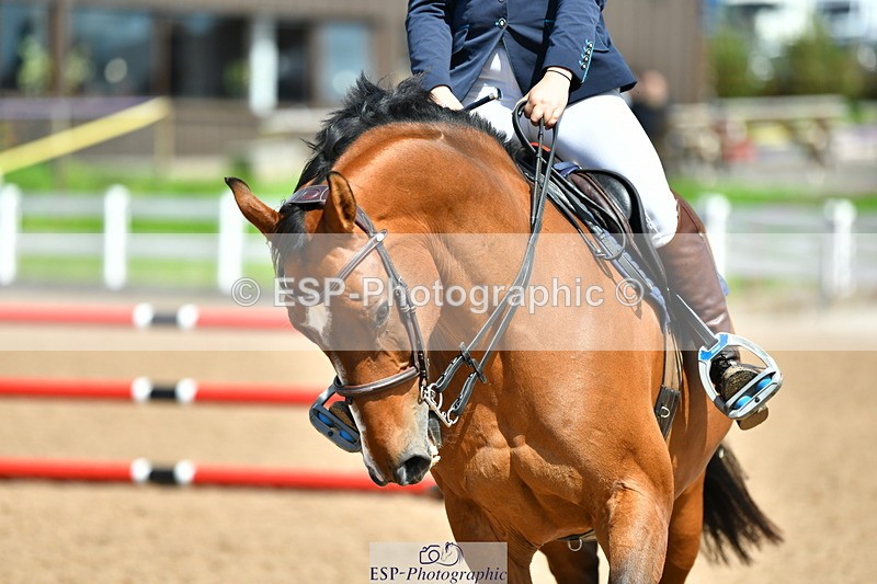 230812A-134558-09407 - Cls 28 95cm Nat Am Qualifier