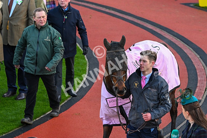 130326-Race 5-Gaelic Warrior-3071 - 13th March