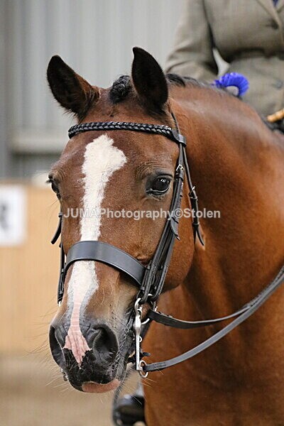 SIAL2767 - Sunday 14th Ridden