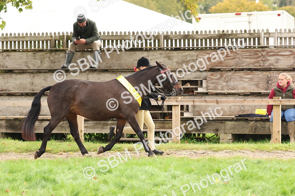SBM_59763 - Start Supreme Championship