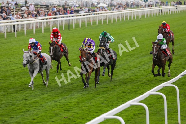 100923-Pony Race 2-3700 - Pony Race 2 12.45 The Dragon (TV and Film) Studios Pony Race 148cm & Under