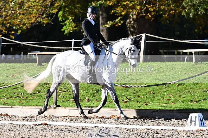 231110-102937-00098 - Cls 2 Prelim 17(a)Q