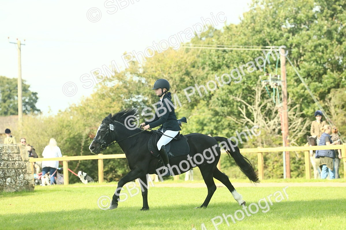 SBM_66540 - S34 - Rehabilitated Rescue Horse & Pony In Hand & Ridden