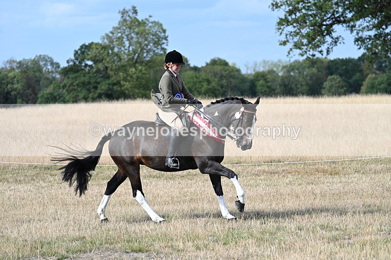 WJ7_7873 - Ridden Championship