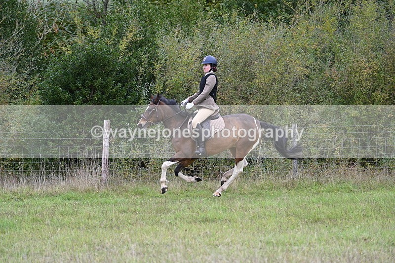 WJ7_3972 - Camera 1 Line 1