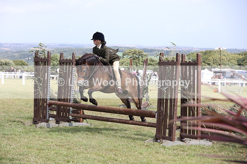 JPP_2019 - Class 19: Working Hunter 60cm