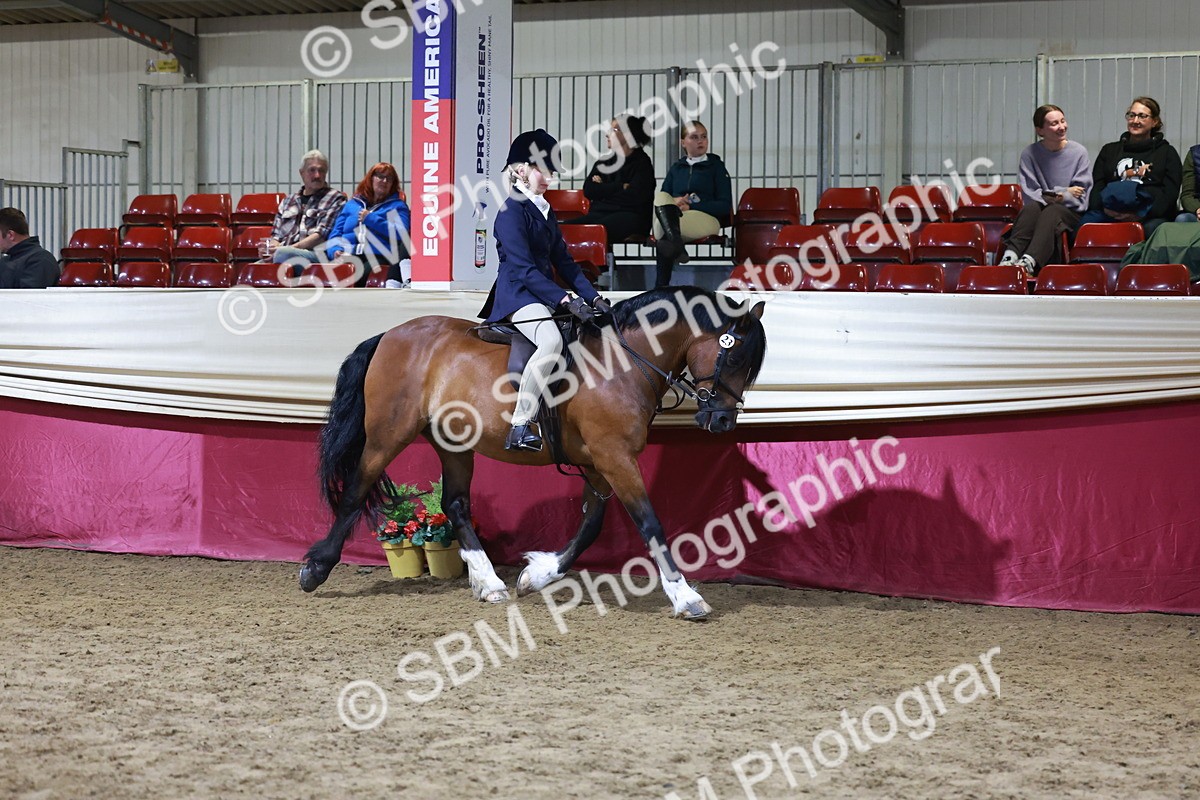 SBM_21353 - Class T - Working Veteran Champs