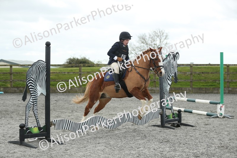 20260412-0618 - Show Jumping