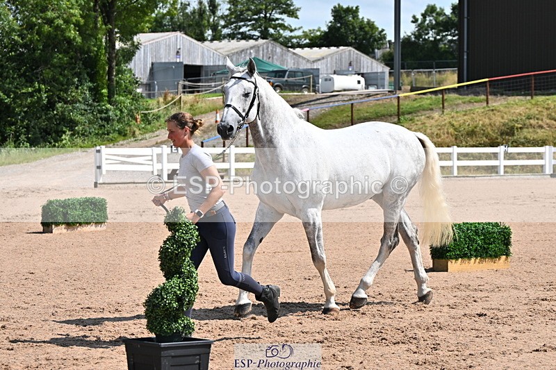 240718A-105239-00970 - Trot Up 11am to 12pm