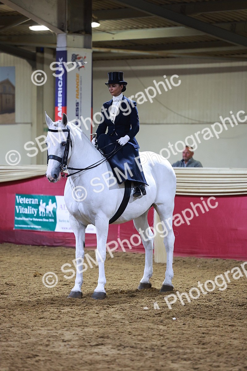 SBM_15030 - Class N - Side Saddle Champ