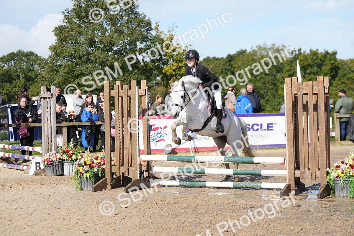 SBM_38409 - J6 - Junior Pony 55cm Championship