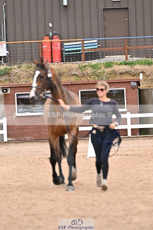 250716-161918-02558 - Trot Up 3.30 to 4.30