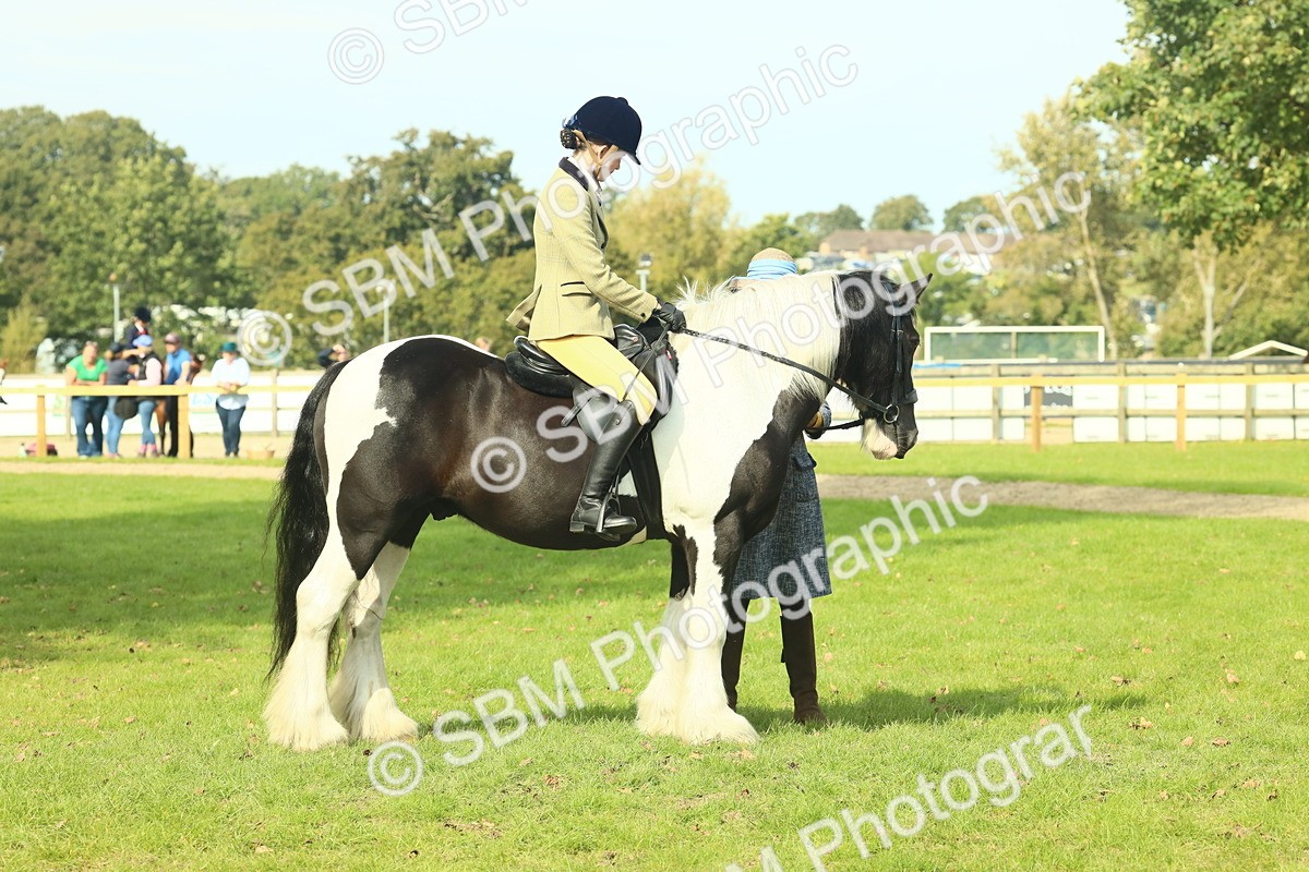 SBM_68962 - S58 - Mini Show Cob Ridden
