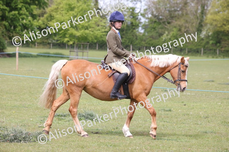 20260426-2898 - Class 33 - Best Pony 14.2hh and Under