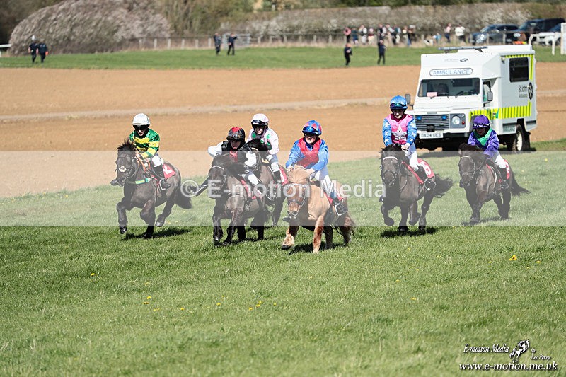 Shet 060426 249 - Shetland Pony Racing Paxford Races Easter Mon 06/04/26