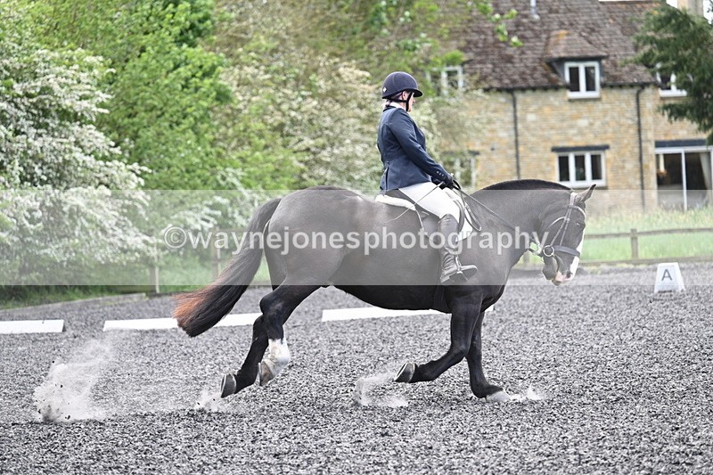 WJ7_9037 - Time 11:32 to 11:54