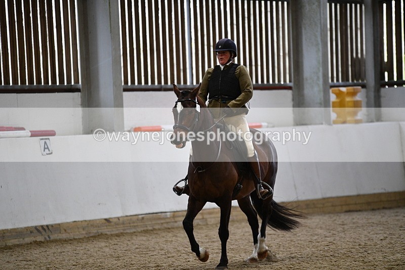 WJ5_7974 - Class 13 Ridden Part Breed