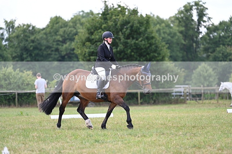 WJ7_5306 - Time 11:22 to 11:51