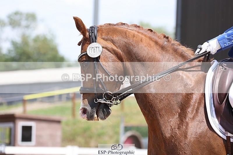 250620-130050-01143 - BD Cls 15 - Freestyle Adv Medium