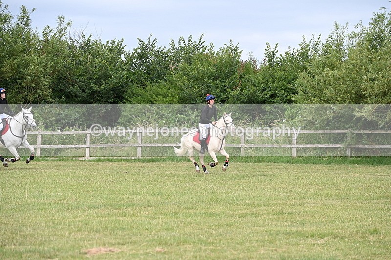 WJ6_5831 - 60cm Pairs XC