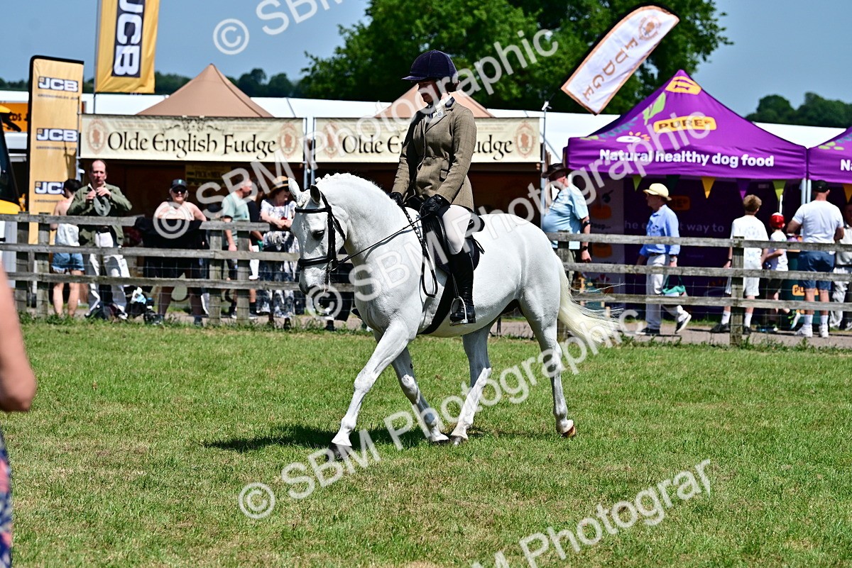SBM_17470 - Class 95-97 - BSPS LHS Performance Ponies