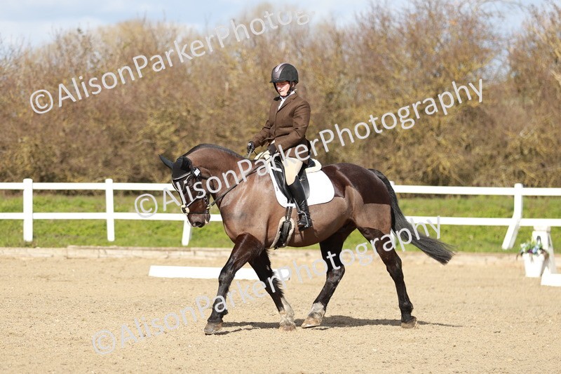 20260314-3036 - DR3 - Prelim 1