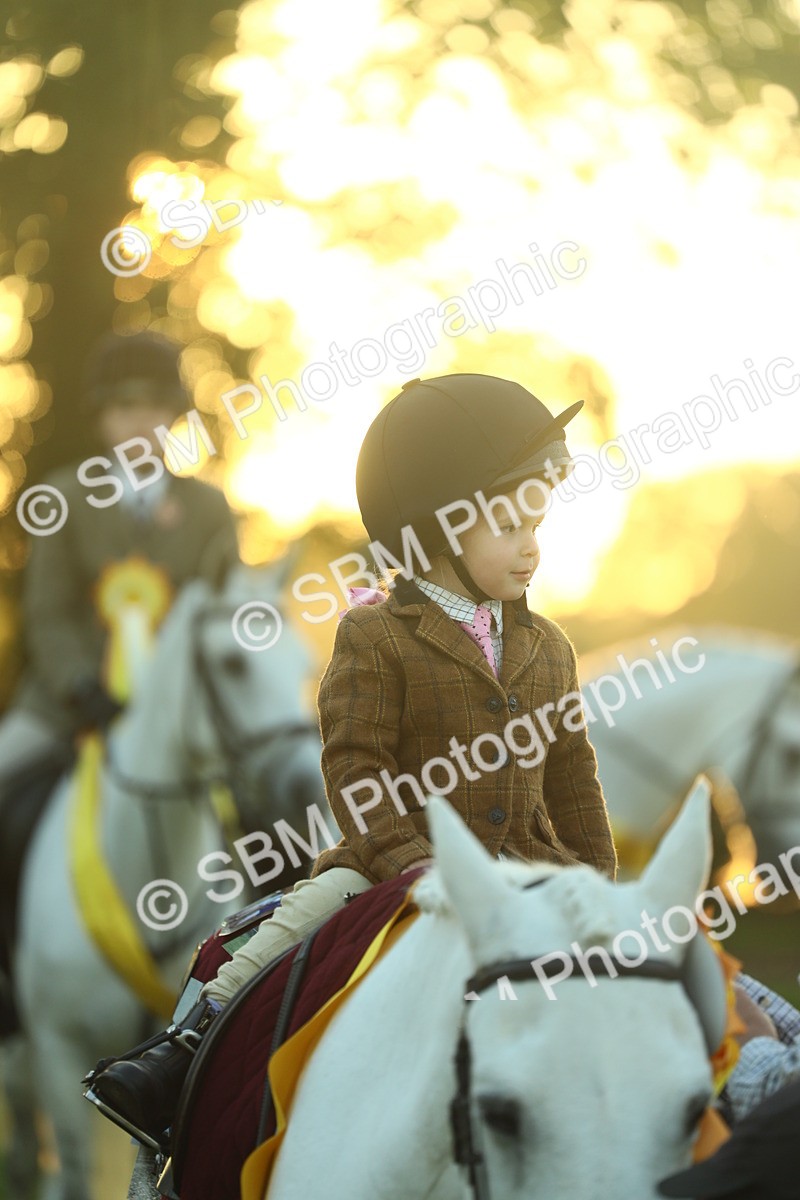 SBM_56628 - Fun & Versatile Supreme Championship