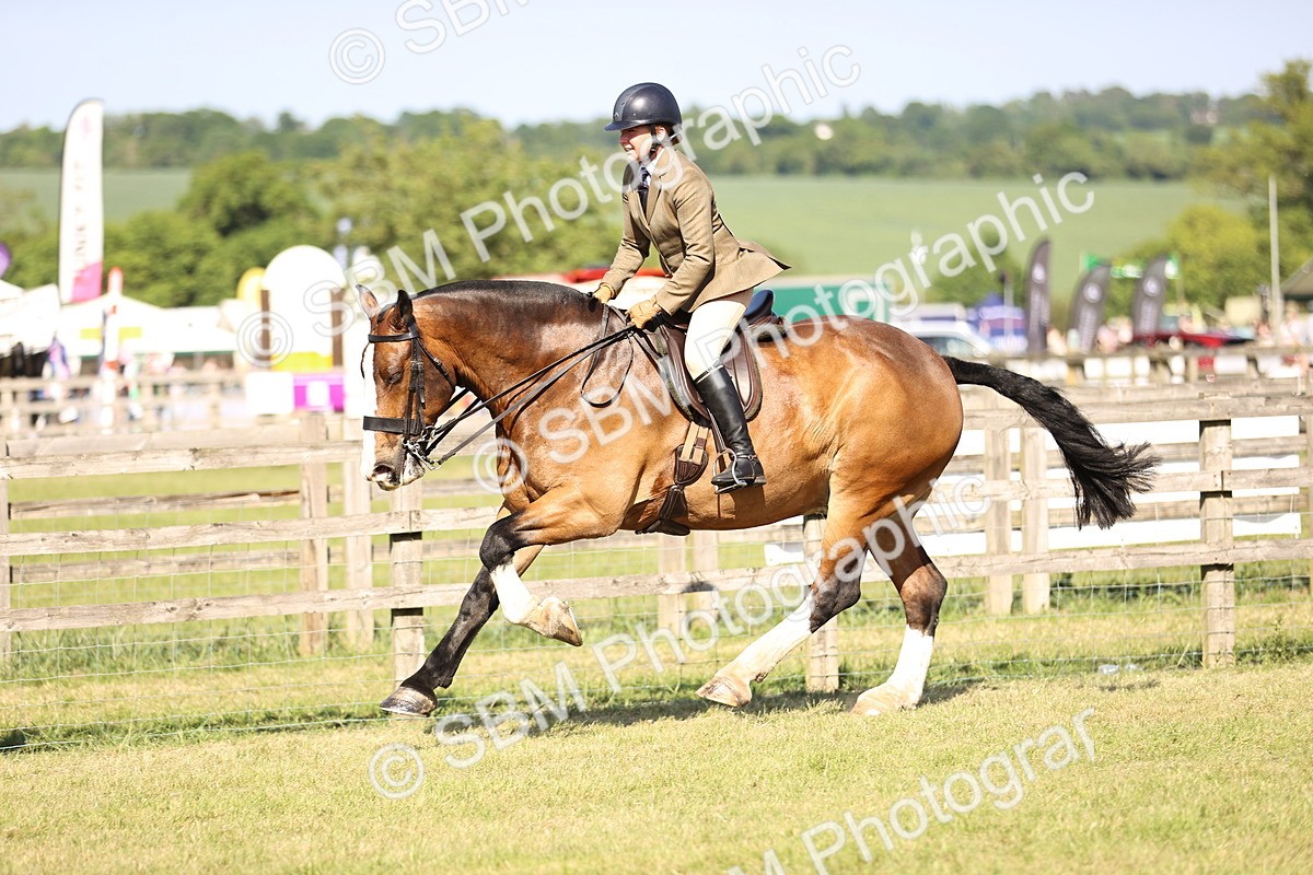SBM_19661 - Class 87-88 - RIHS BSHA Riding Horses