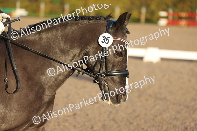 20251102-0010 - Class 1 - Prelim 5