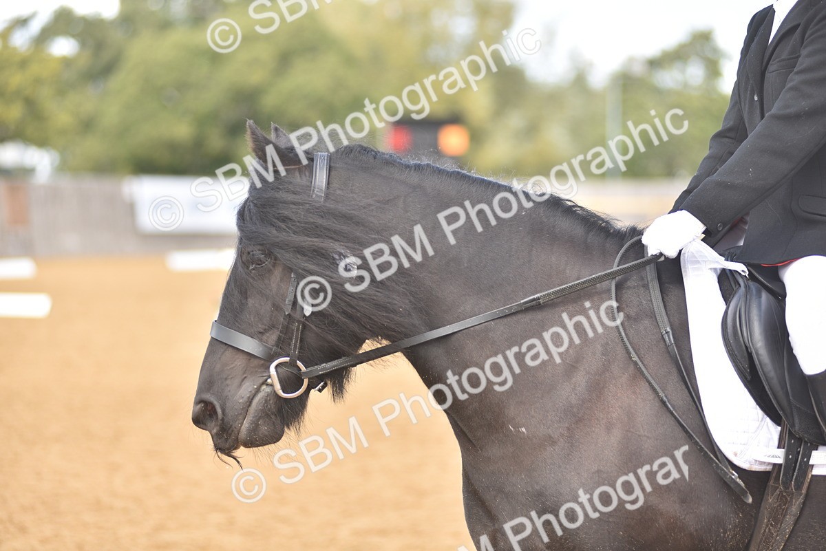 SBM_48800 - D22 - Junior Championship Intro 3