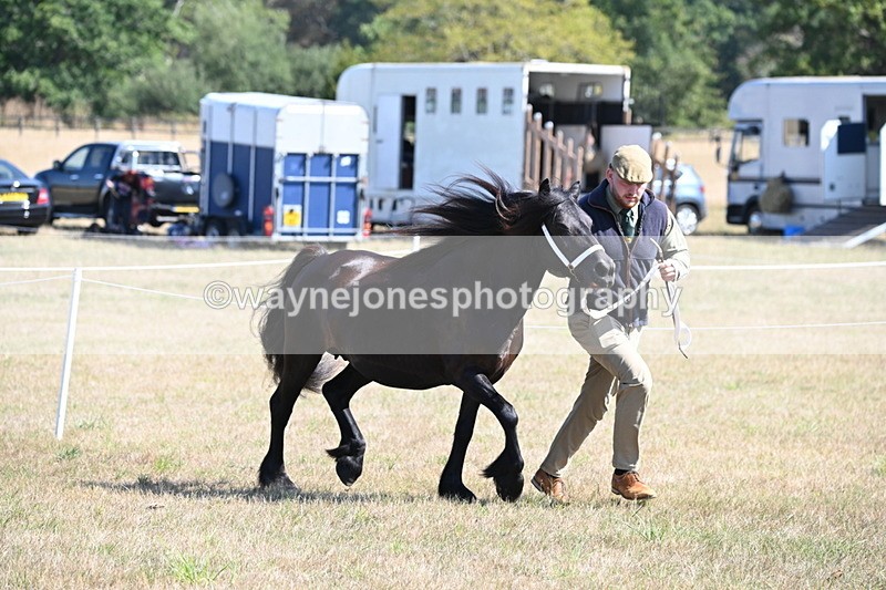 WJ6_4665 - Class 17 Mountain & Moorland