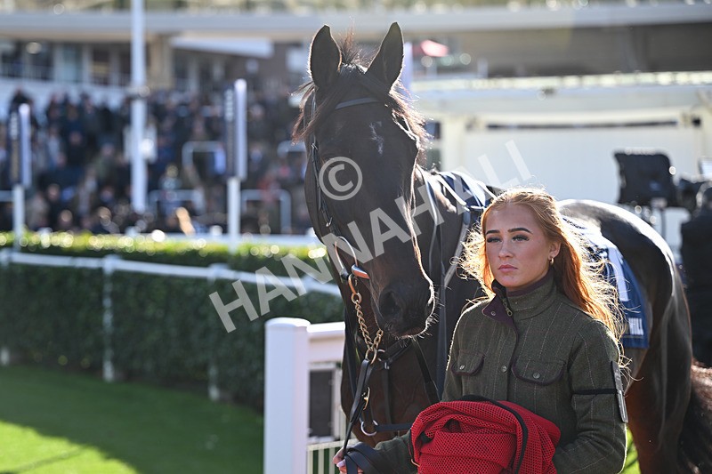 251025-Race 3-Dunboyne-8300 - Race 3